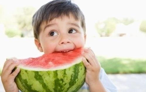 娱乐吃瓜宠物小说,娱乐圈宠物的甜蜜日常  第3张